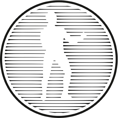 Punch project logo